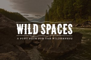Free Font – Wild Spaces Display Typeface