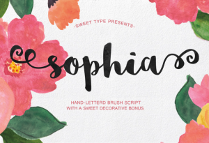 Free Font – Sophia Brush Script