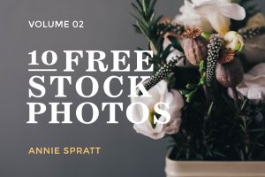 Free Stock Photos • Nature Theme