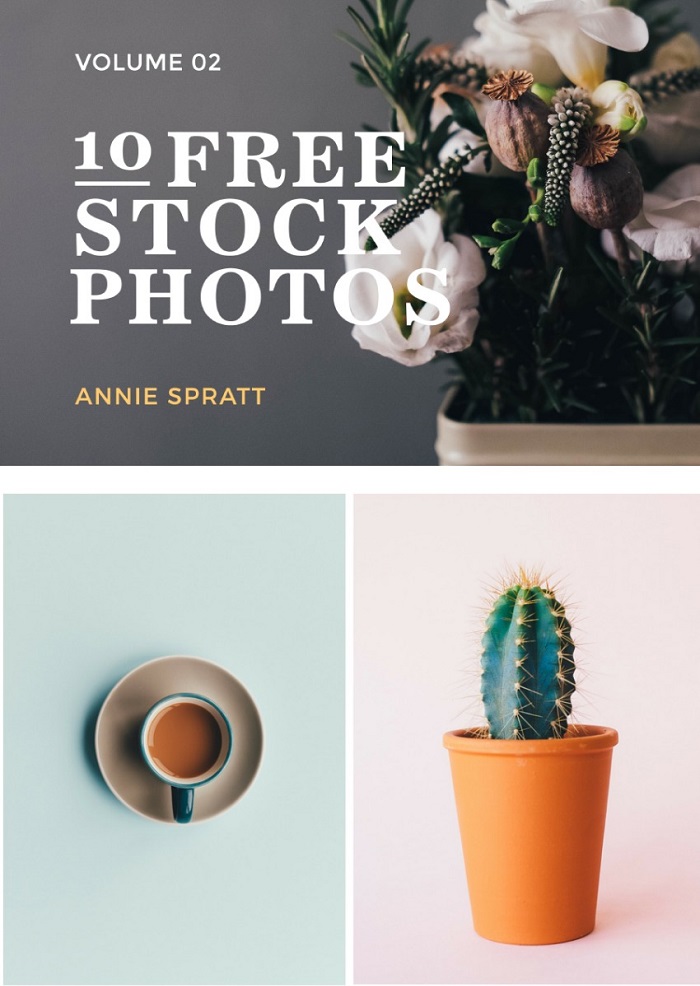 10 Free | Curated Stock Photos