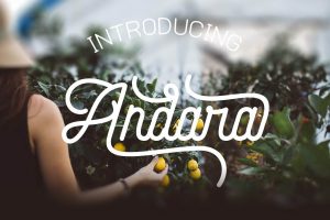 Free Font | Andara Script
