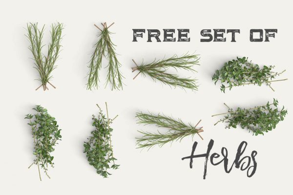 Free Graphics | Isolated Herbs Set