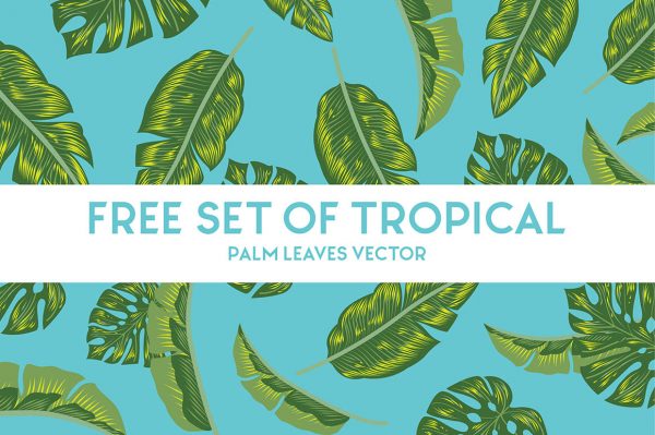 Free Vector • Tropical Palm Leaves
