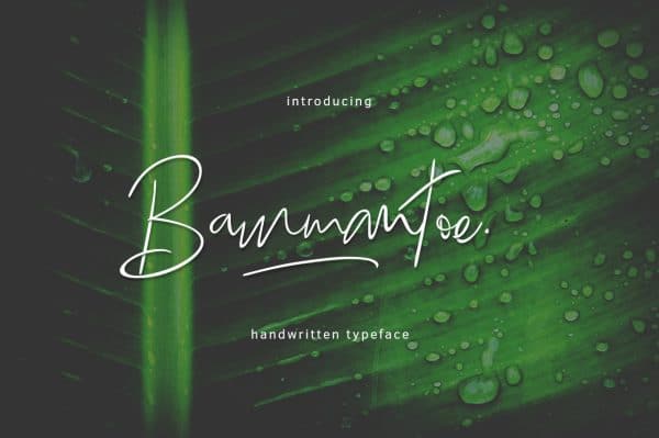 Free Font • Bammantoe Typeface