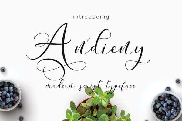 Free Font • Andieny Script