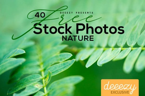 Free Photos – 40 Nature Themes