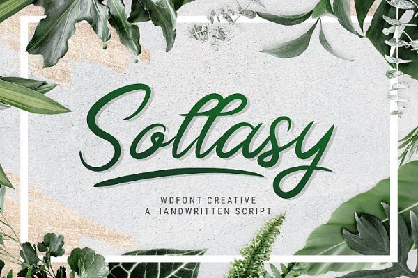Free Font – Sollasy Script
