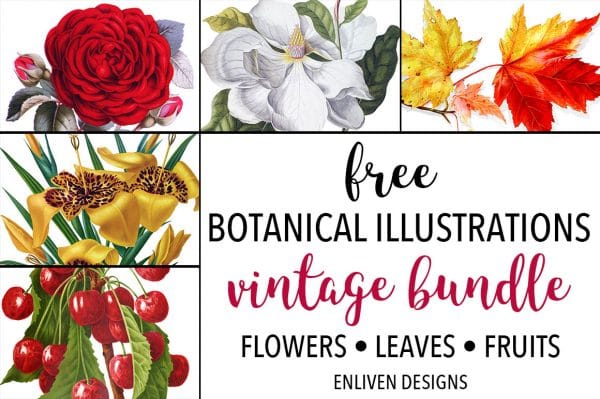Free Graphics – Vintage Flowers
