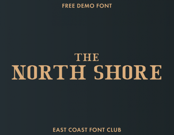 Free Font – The North Shore Serif