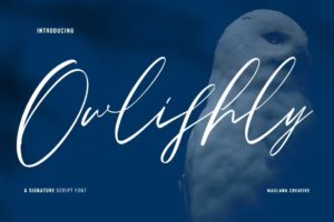 Owlishly Signature Script - FREE FONT - CU ok